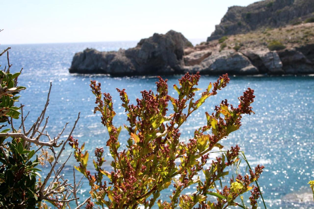 Agios Pavlos Hotel Buitenkant foto
